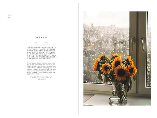 一家花店-画册设计