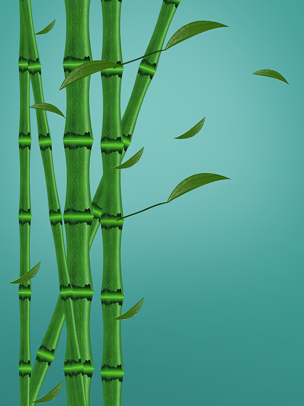        绿竹,古风