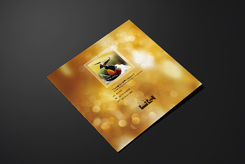 蛋糕册子-您觉得很傻?对吗?