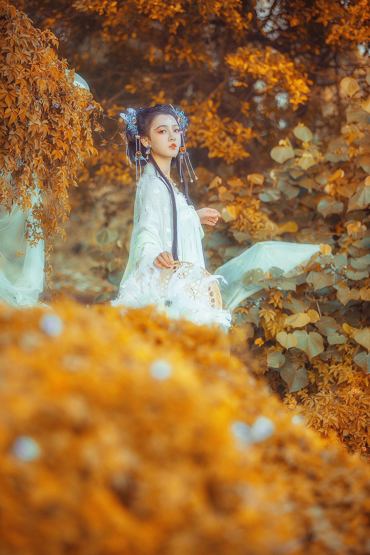 《灵仙圖志·翩若惊鸿》