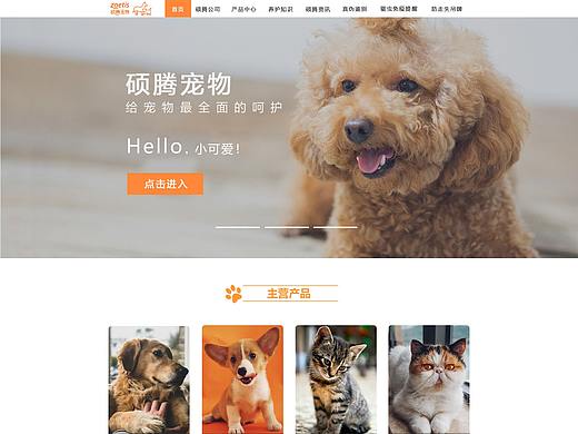 我的一款宠物网站（个人主页-ZMzkxMjAzNzY=） - 企业官网 - 站酷设计师鄙人专长盗图原创素材 - 站酷ZCOOL