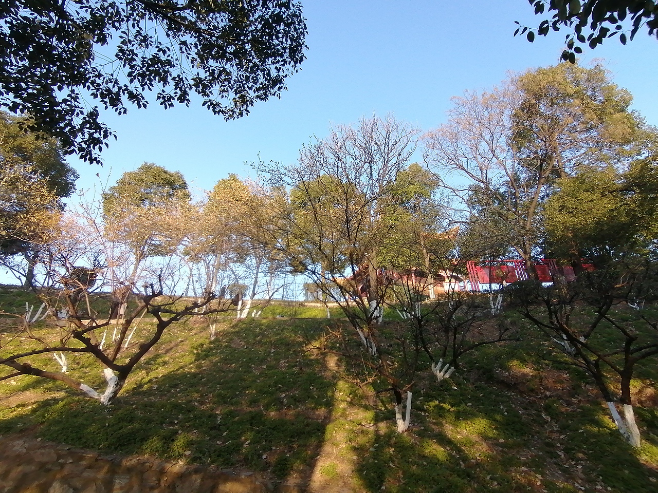 境源己造,相由心生