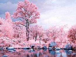 旅游類APP樂(lè)游