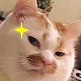 欢欢_的头像
