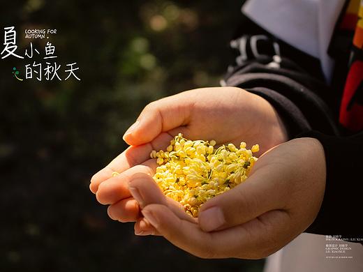 夏小鱼的秋天
