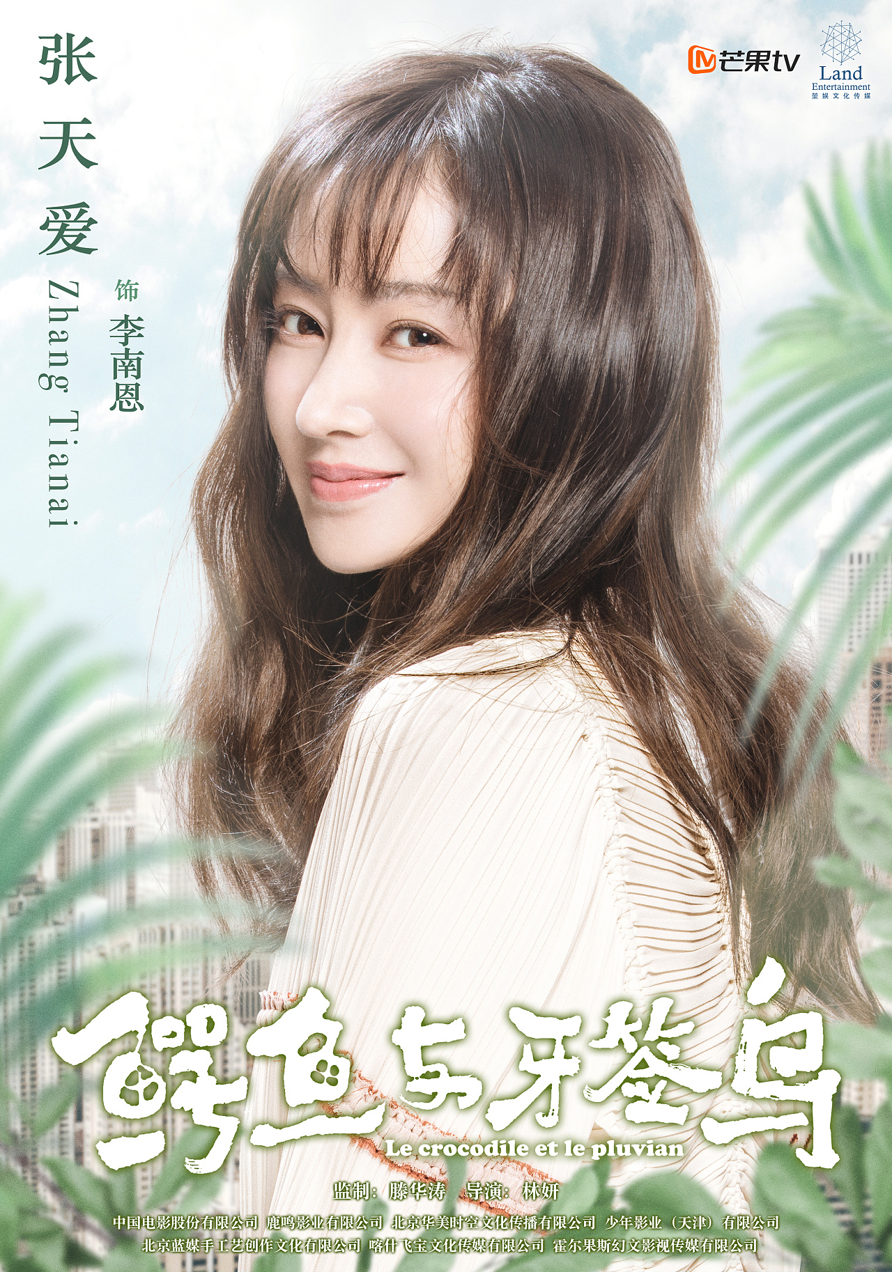 2018年 电视剧《鳄鱼与牙签鸟》海报设计 及 飞机稿