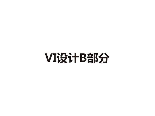 企业VI手册宣传B部分