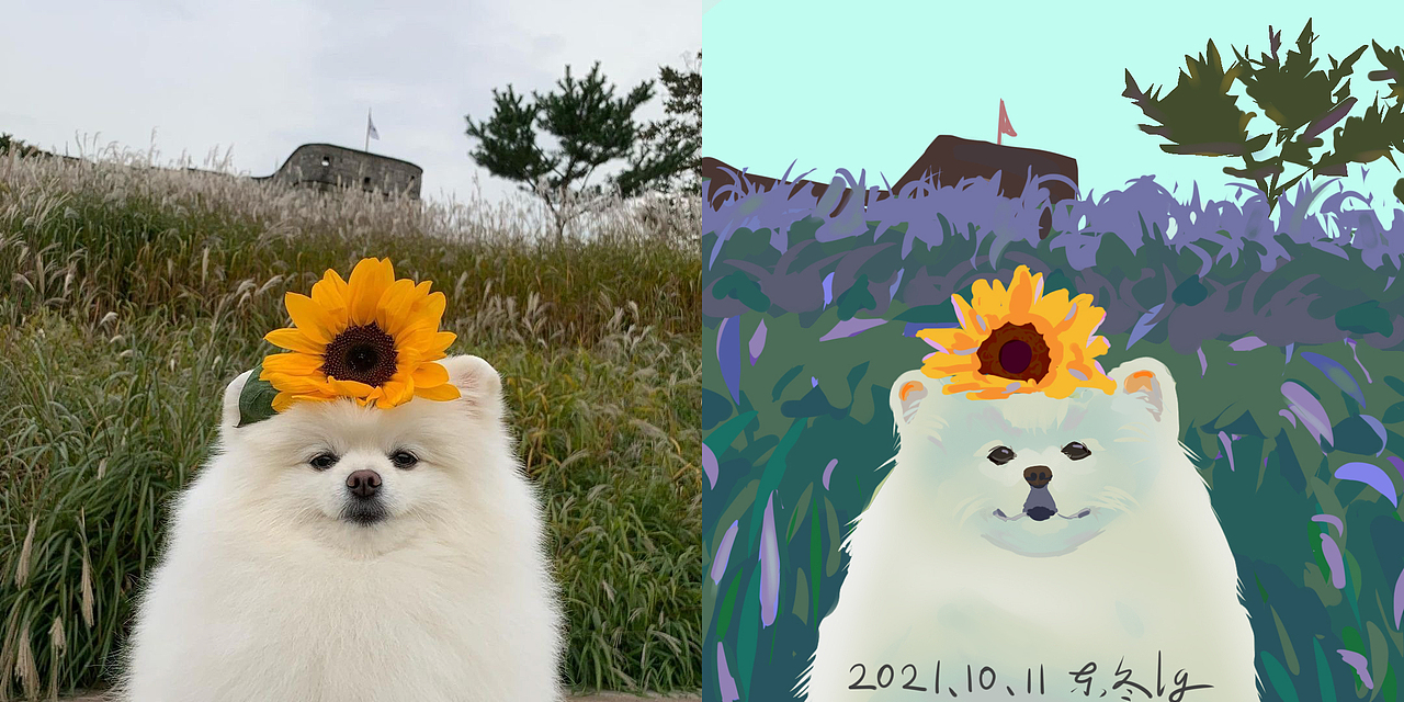 近两年板绘练习总结（野生插画师）