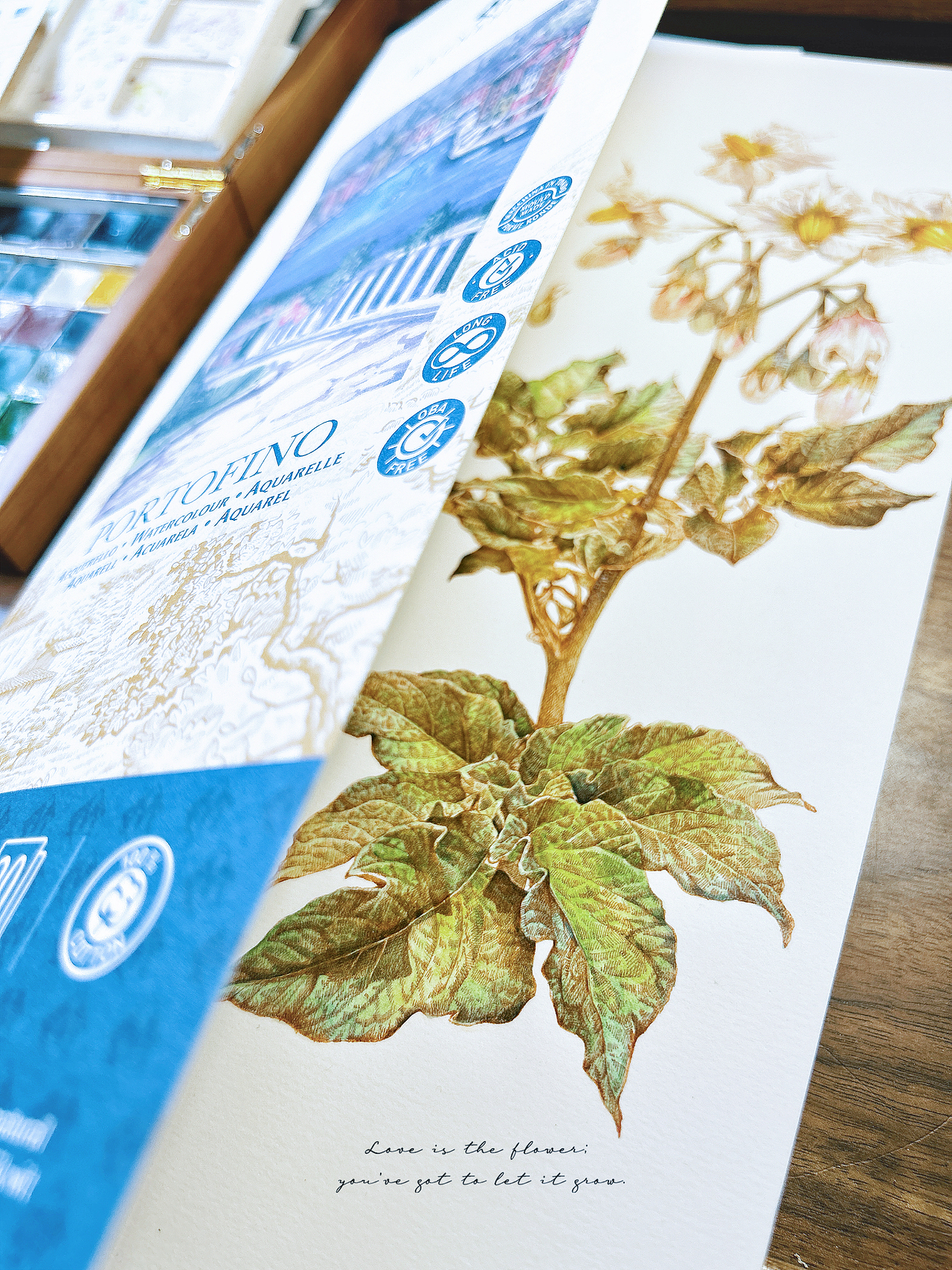 蘸水笔针管笔｜土豆花（平凡而伟大）（图ZMzc3NDA4NTMy） - 艺术插画 - 站酷设计师CatCastleDZ原创素材 - 站酷ZCOOL