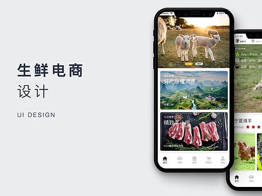 生鲜电商