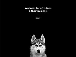 Dog web design
