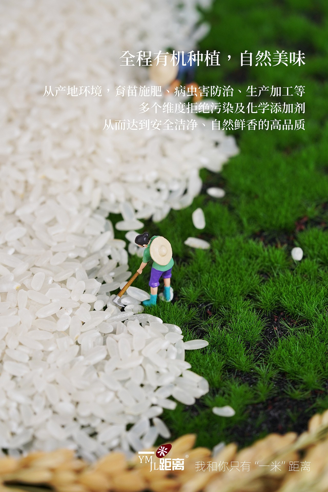 一米距离五常有机大米