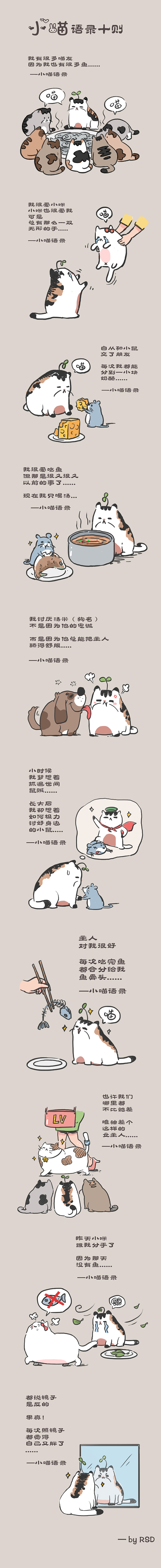 哲理小貓（圖ZMTMwMDk1ODg4） - 短篇/格漫 - 站酷設(shè)計師北京東方視格原創(chuàng)素材 - 站酷ZCOOL