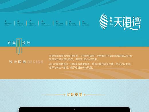 UI方案设计