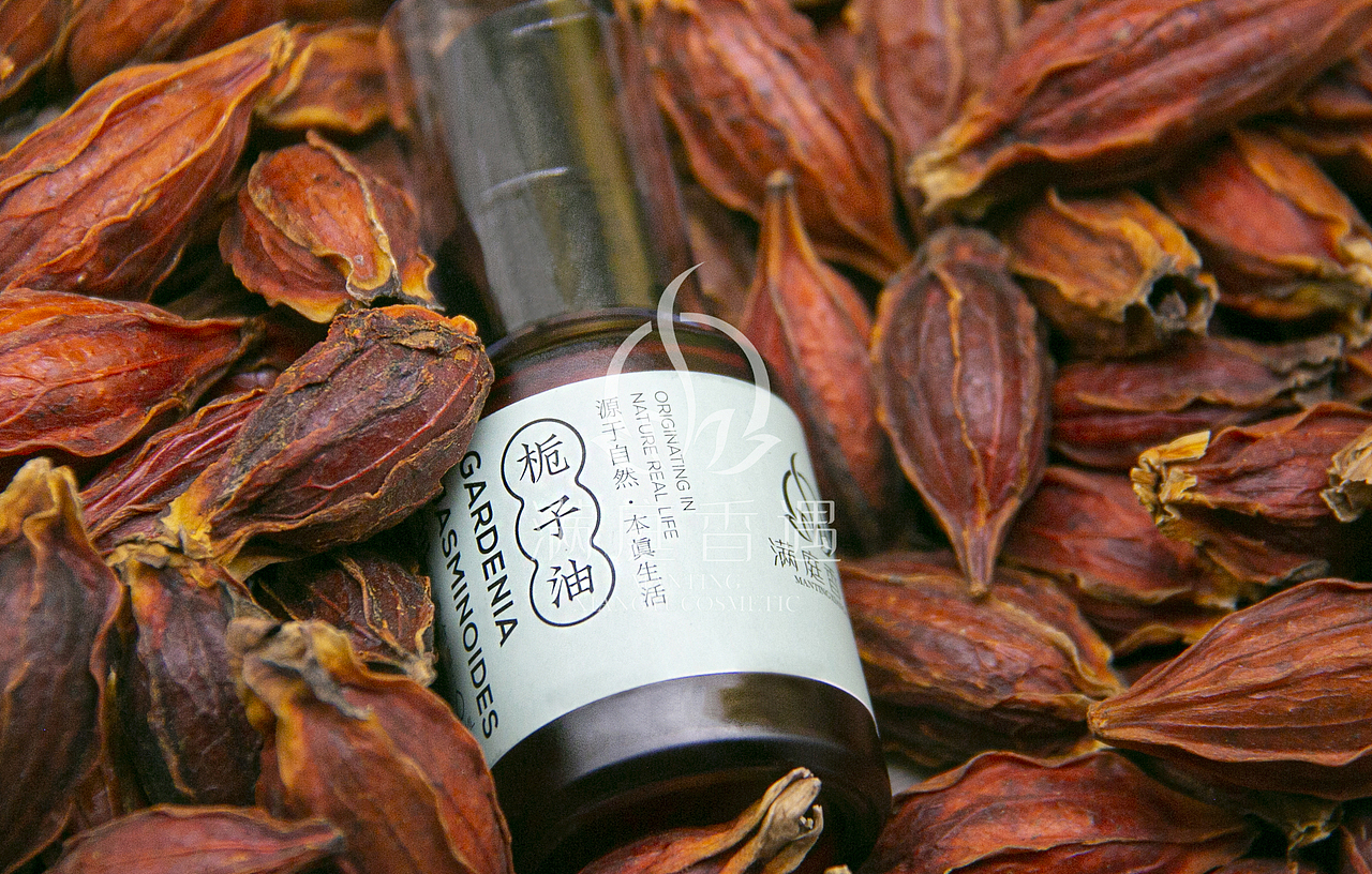 初接触摄影 拍的一些合集