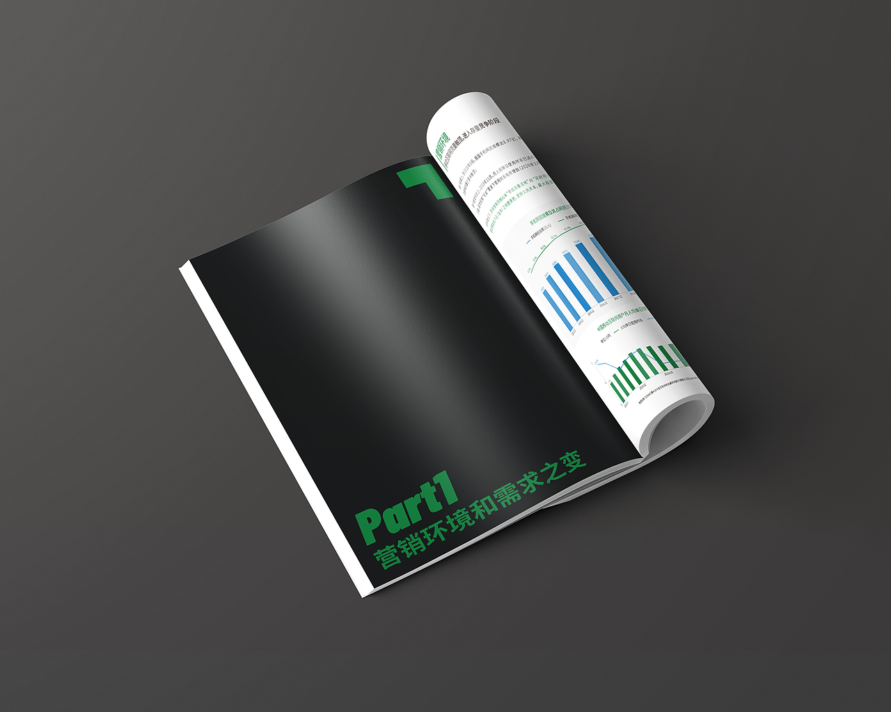 数据类画册（图ZMjEzODE0MTI4） - 书籍/画册 - 站酷设计师海豹工厂原创素材 - 站酷ZCOOL