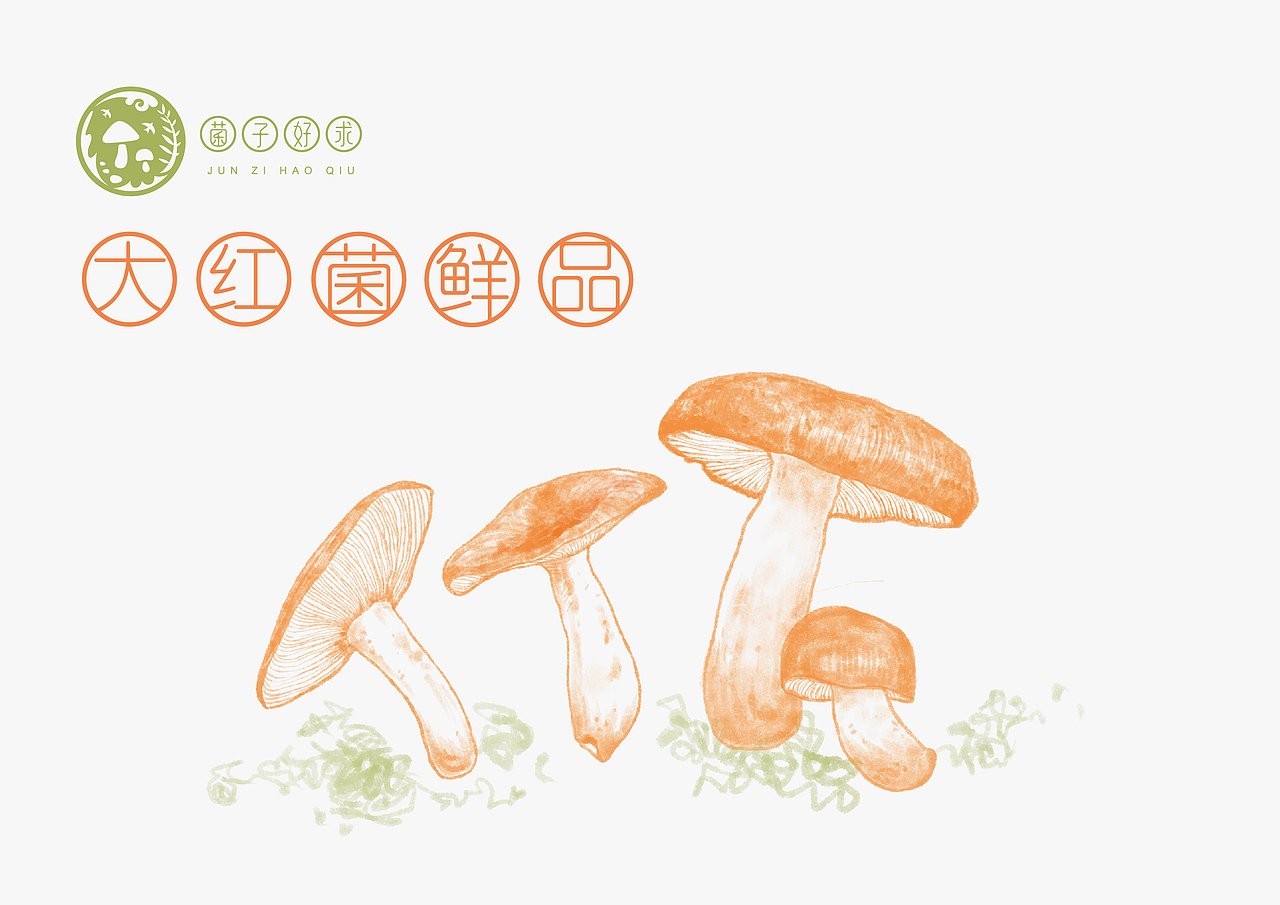 【品牌】菌子好求