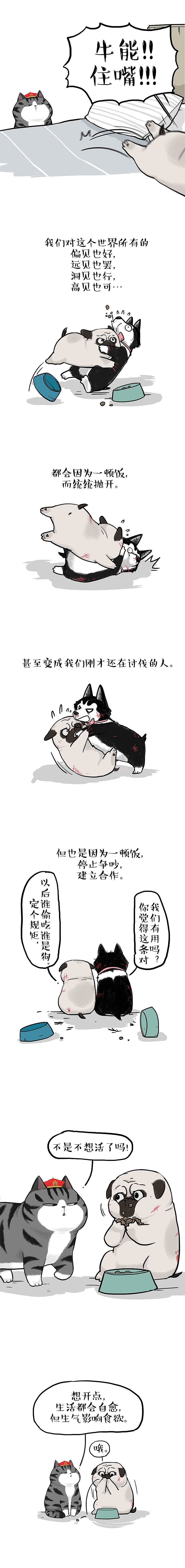 吐槽救不了这个世界,但可以编段子。