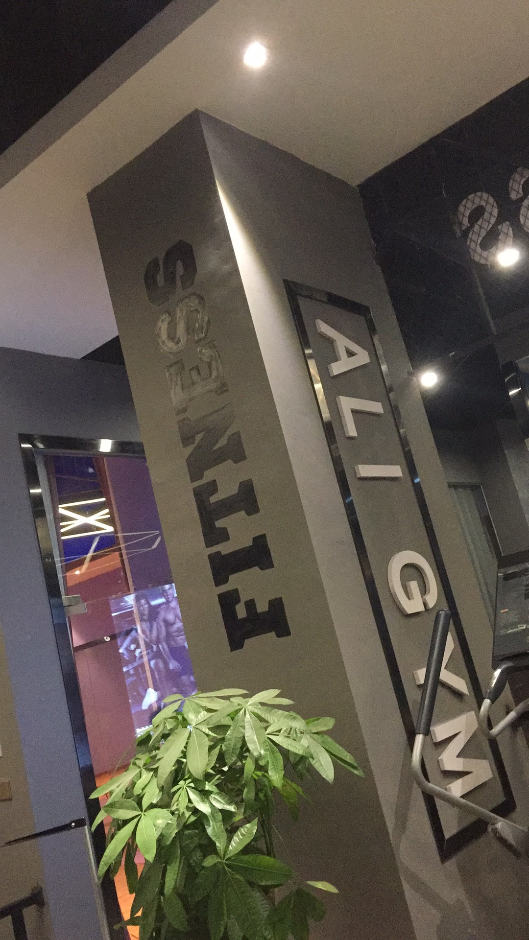 爱力健游泳健身房墙体彩绘