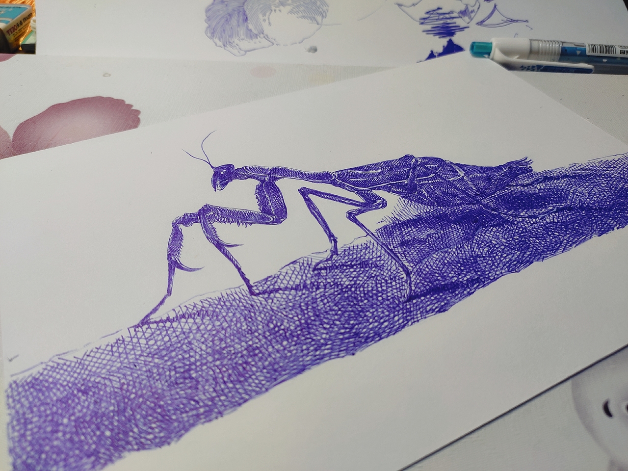 螳螂圆珠笔手绘