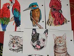 萌寵寫生記兒童水彩筆