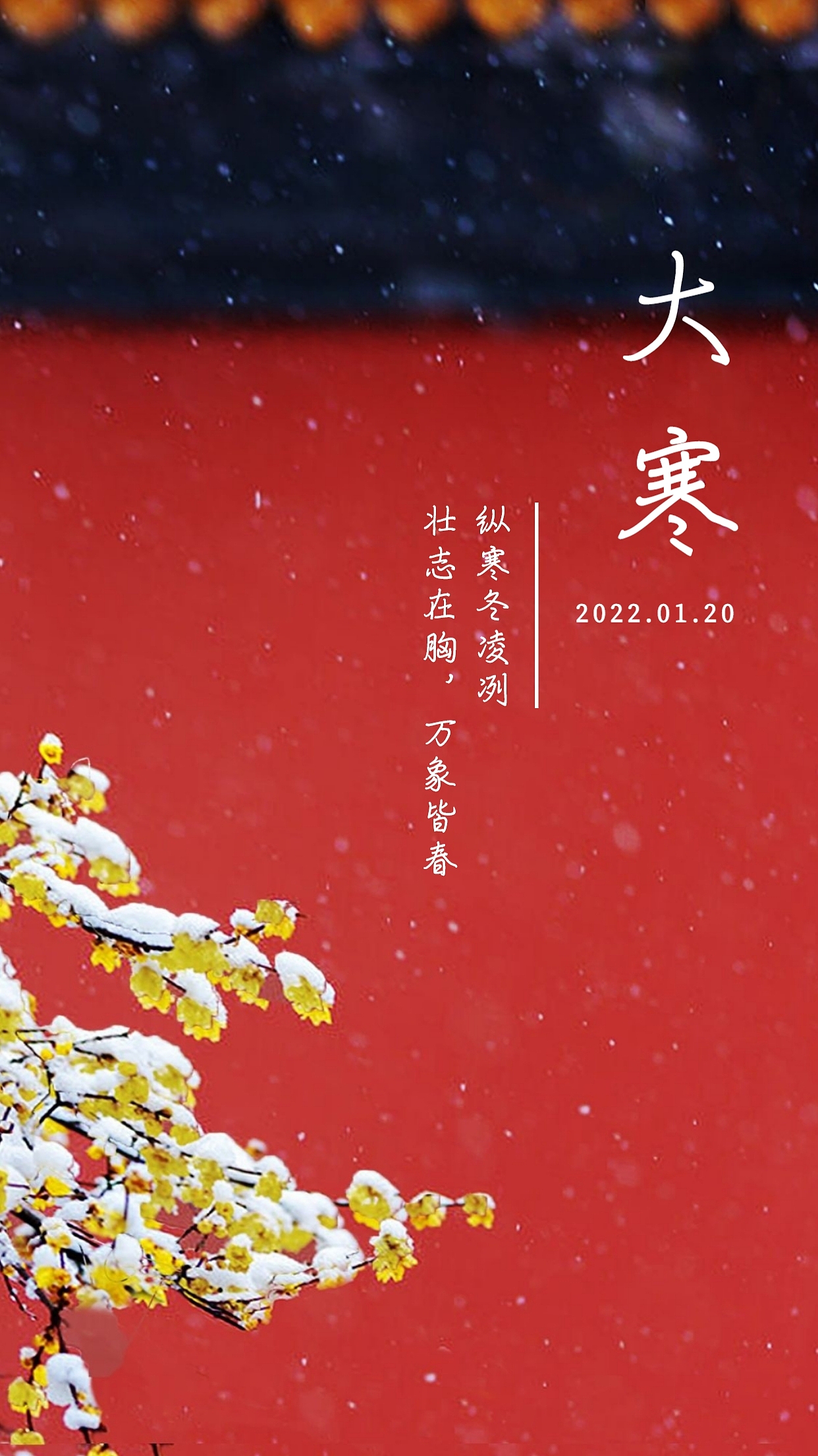 大寒图片大寒海报