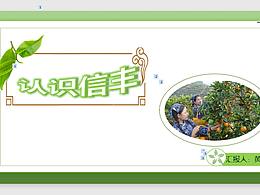 信丰介绍