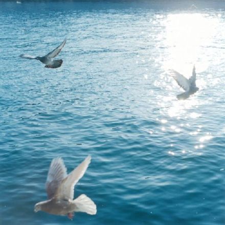 BambooBEE的个人主页（封面预览） - 主页封面设置 - 站酷设计师BambooBEE原创素材 - 站酷ZCOOL