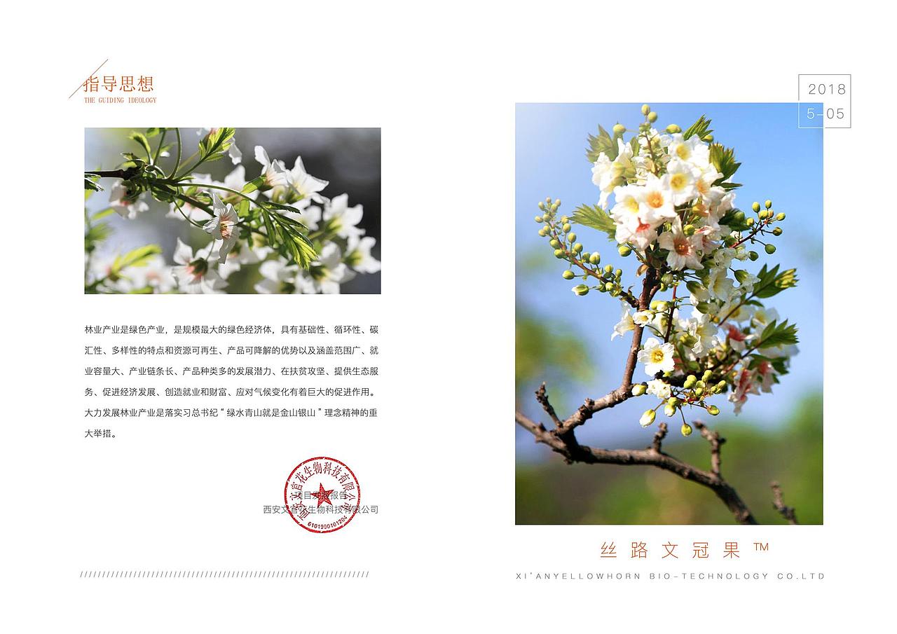 平面设计-画册（图ZMTM2NzE5OTc2） - 书籍/画册 - 站酷设计师元创绘美设计室原创素材 - 站酷ZCOOL