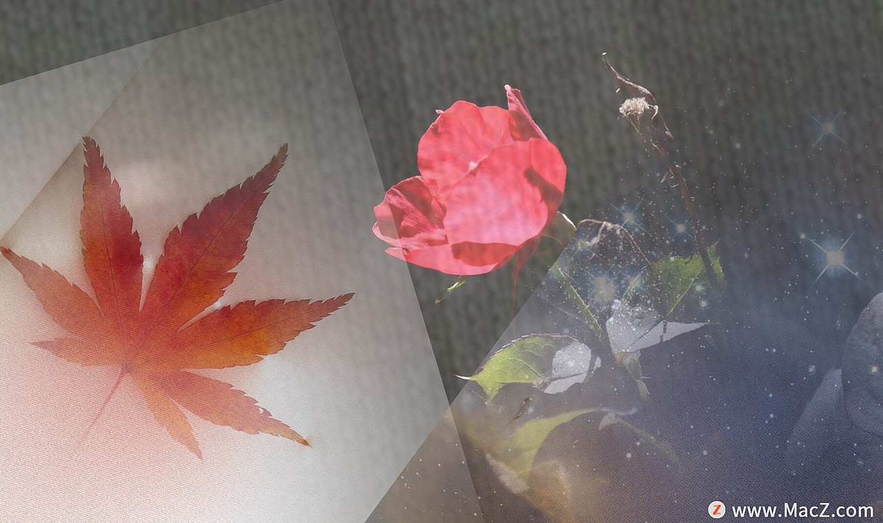 10个纯色织物背景PS填充图案