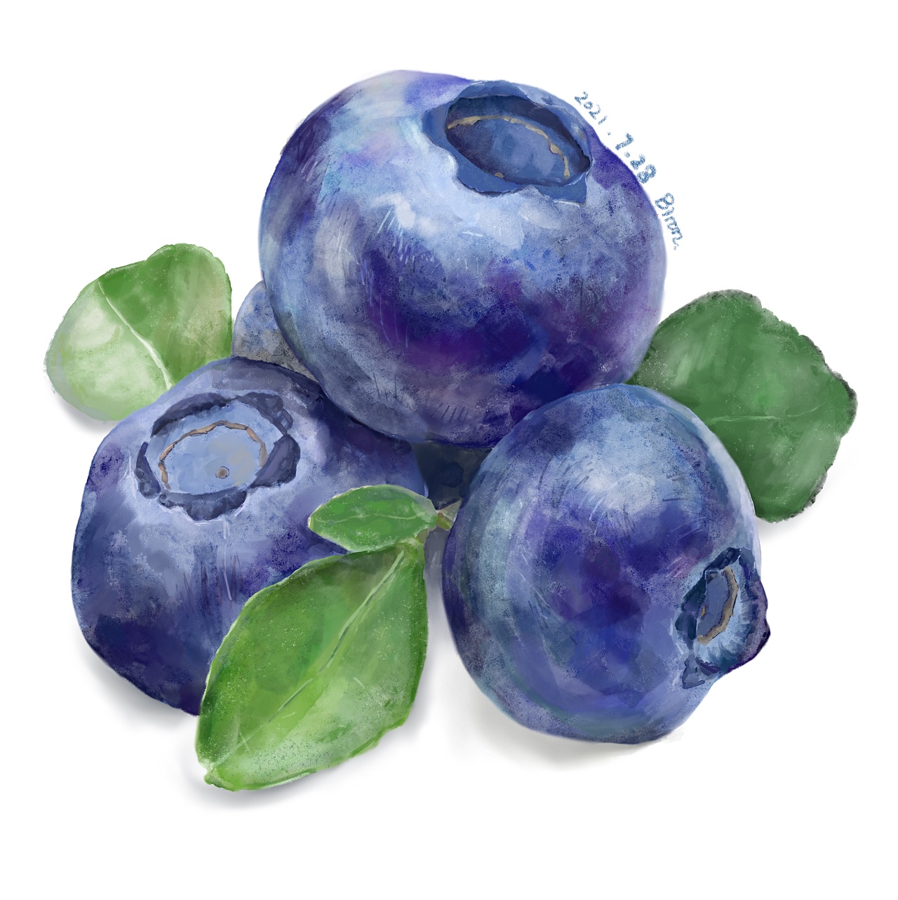 蓝莓08|插画|创作习作|五瓶 - 原创作品 - 站酷 (zcool)