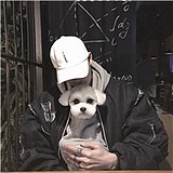 翔大大丨的头像