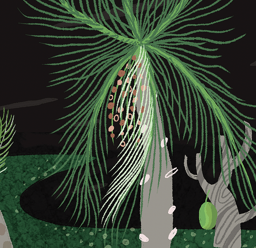 鯰魚（圖ZMjQ2MDQ2OTQw） - 商業(yè)插畫 - 站酷設(shè)計師阿蚌Boom原創(chuàng)素材 - 站酷ZCOOL