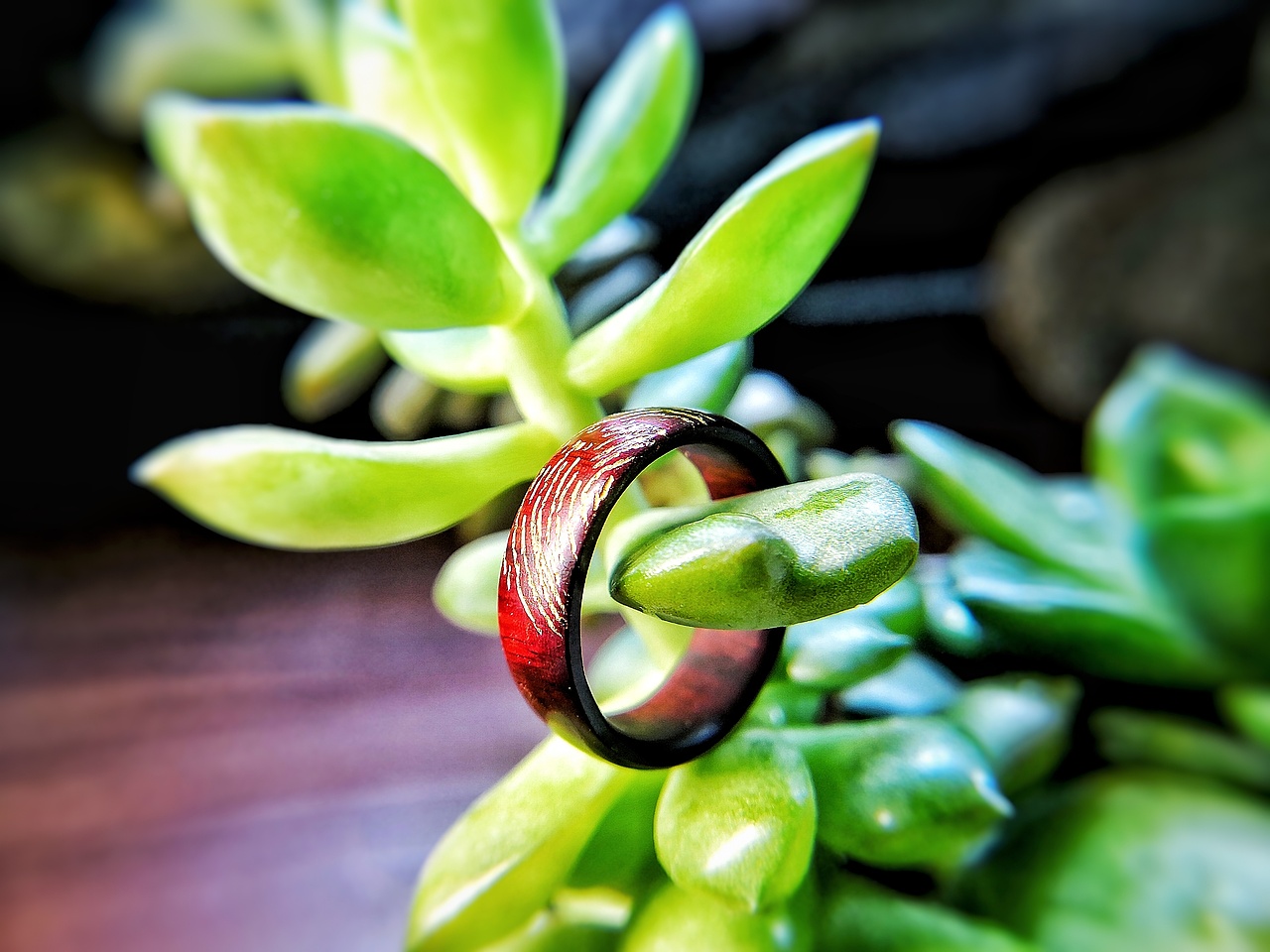 老男人的日常生活-----石思庆