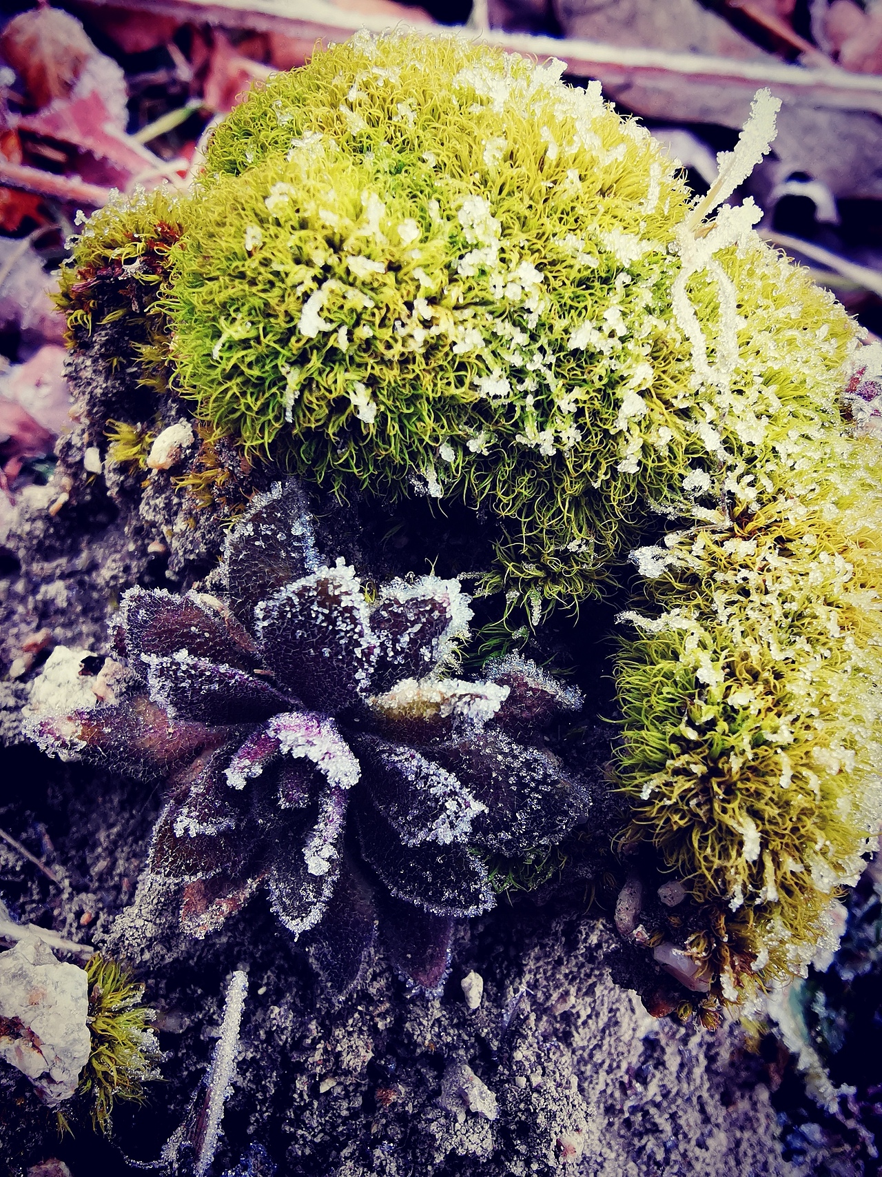 努力发现生活中的美