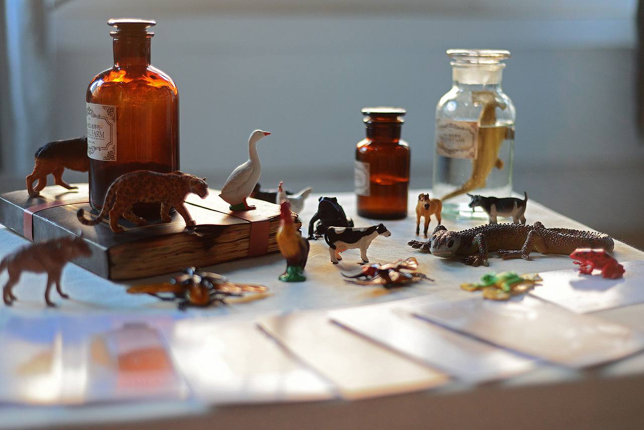 #青春答卷2014#完整版《动物庄园》BSEN插画毕业设计（图ZMTY2NDAyMDA=） - 商业插画 - 站酷设计师王比森bsen原创素材 - 站酷ZCOOL