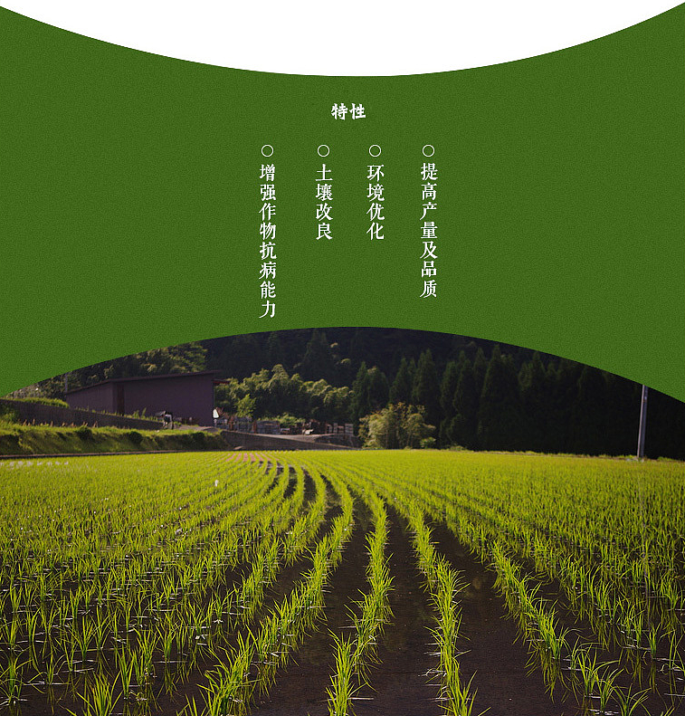 大米（图ZMTM1ODcxNzUy） - 电商 - 站酷设计师理想智造视觉设计原创素材 - 站酷ZCOOL