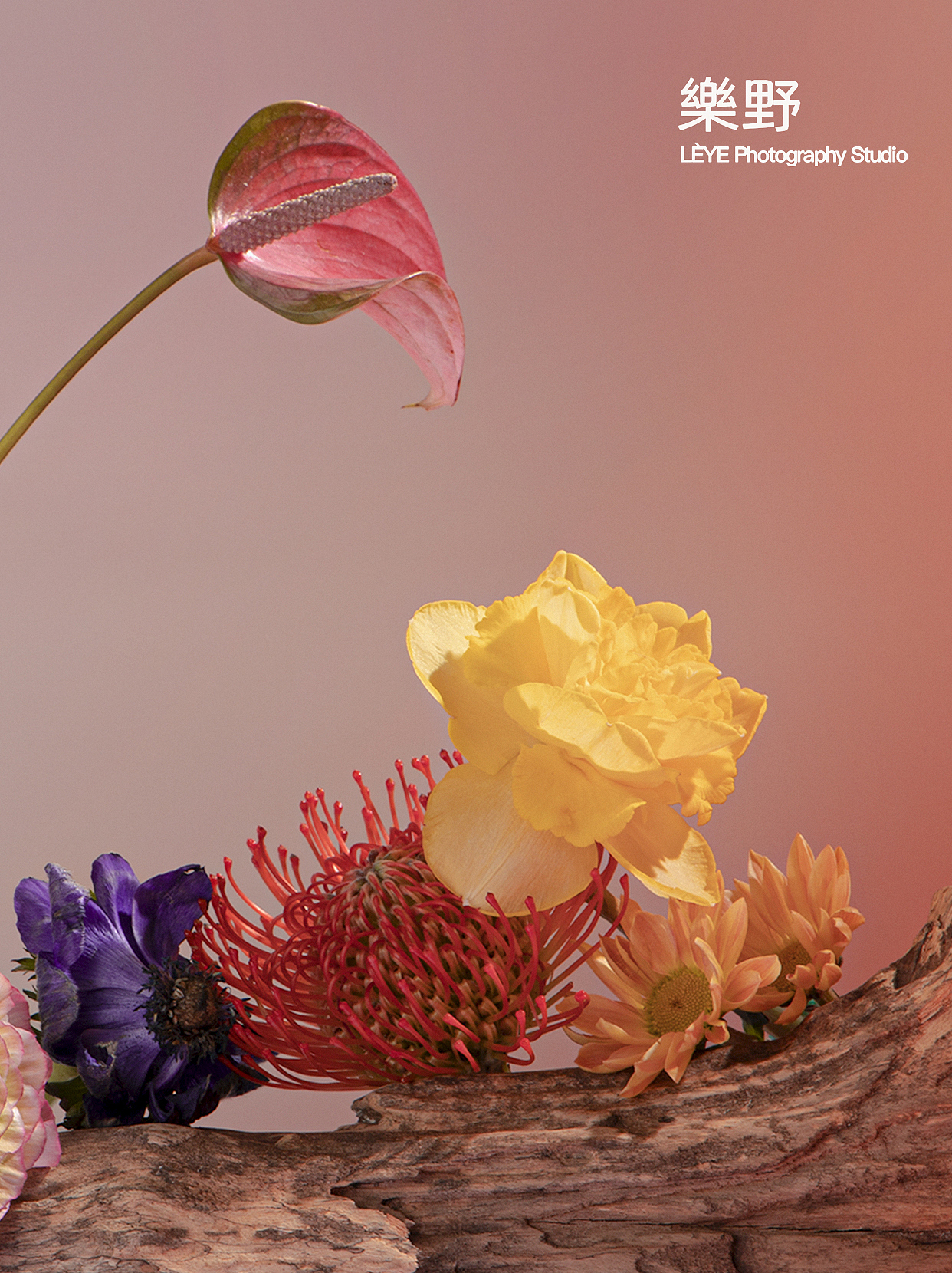 静物摄影｜安野屋女王节活动场景拍摄👑（图ZMzEwOTExNTAw） - 产品摄影 - 站酷设计师LeyeStudio原创素材 - 站酷ZCOOL