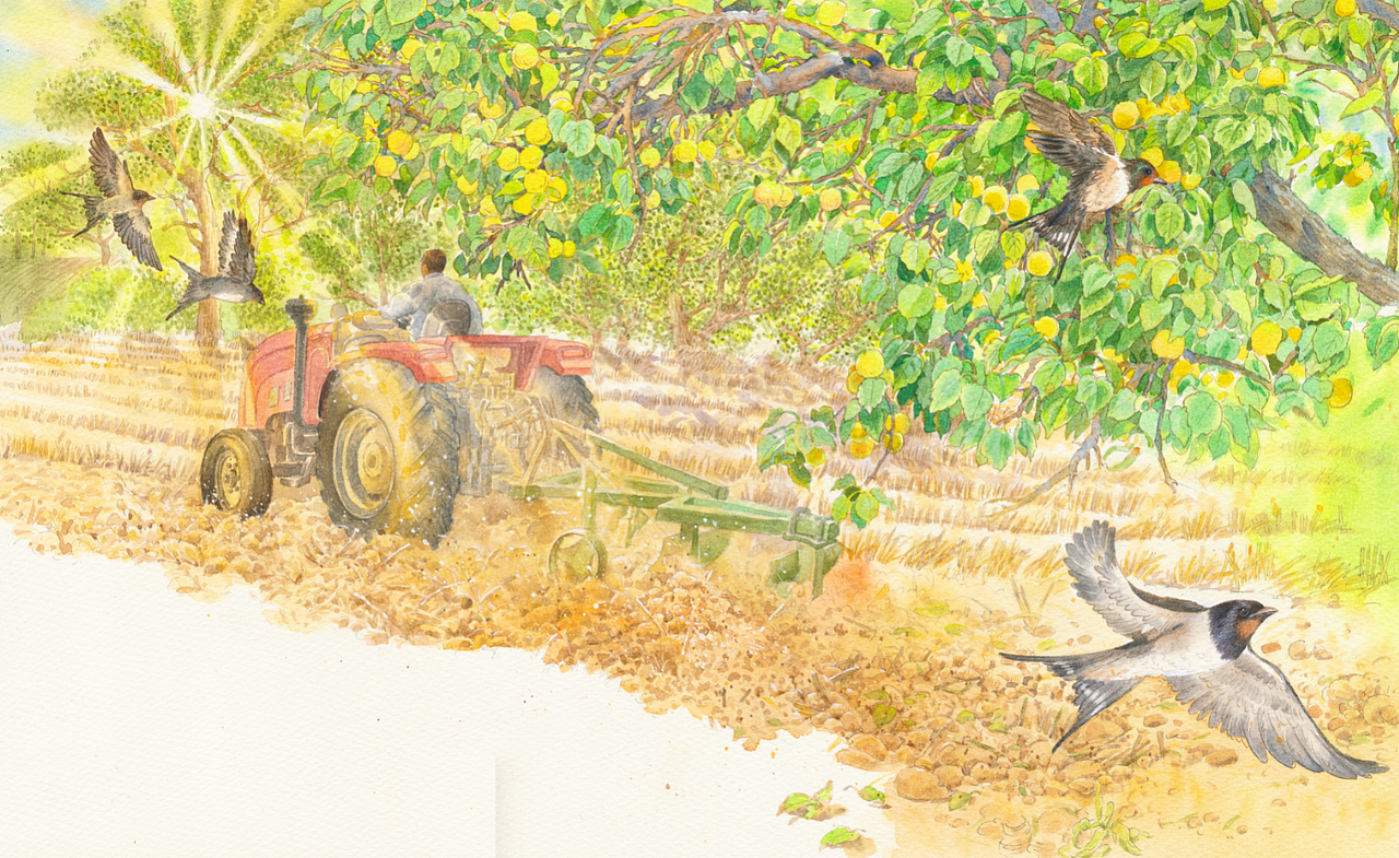 画到记忆深处（图ZMjA3NDMyNjg4） - 绘本 - 站酷设计师1979水印原创素材 - 站酷ZCOOL