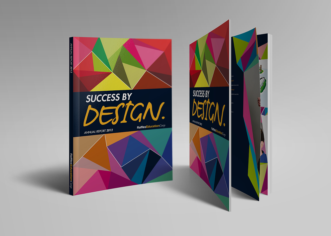 Success by Design Annual Report（图ZMzAyNTM5OTI=） - 书籍/画册 - 站酷设计师rayzong原创素材 - 站酷ZCOOL