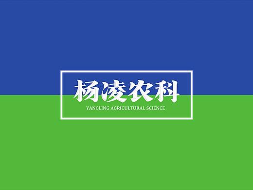 杨凌农科品牌形象设计