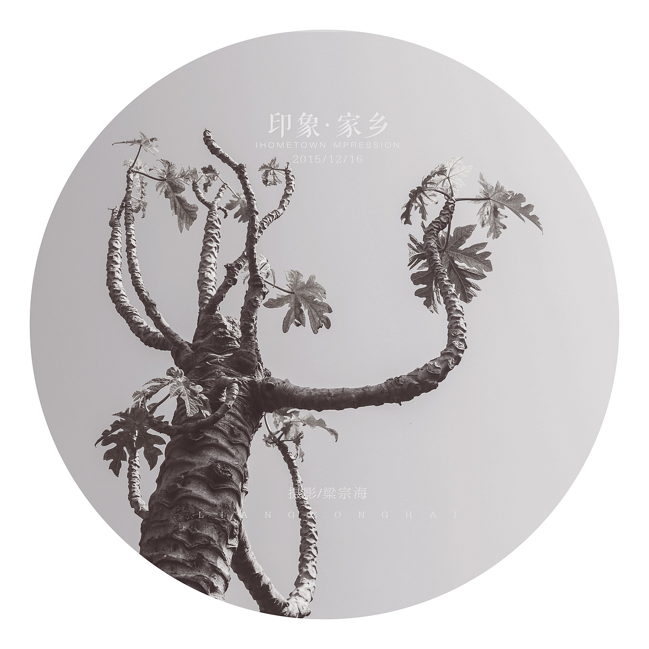 印象·家乡（图ZNDk1MTMxMDQ=） - 风光摄影 - 站酷设计师liangzonghai原创素材 - 站酷ZCOOL