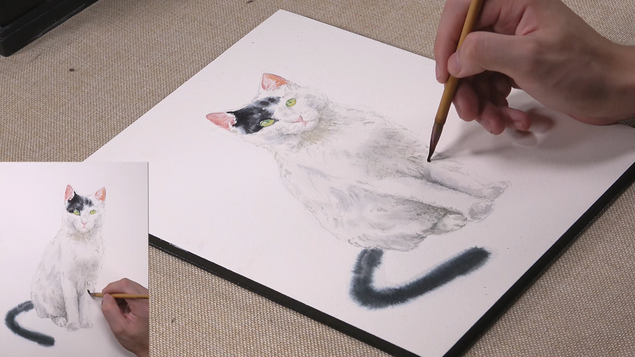 （水彩绘画）白小猫（图ZMTgwNDM3MTEy） - 绘画 - 站酷设计师萃艺博课堂原创素材 - 站酷ZCOOL