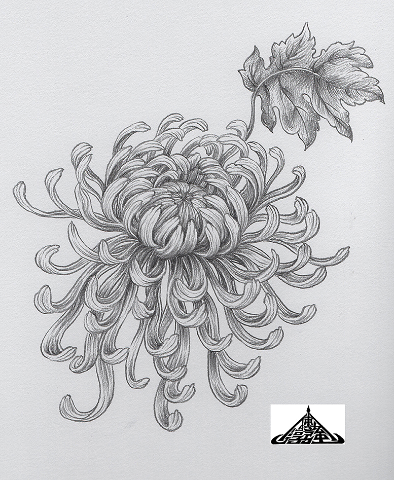 为“宫廷文化”绘制的素描风插画（图ZMzIxNTU0OTIw） - 商业插画 - 站酷设计师傅淳强画者之旅原创素材 - 站酷ZCOOL