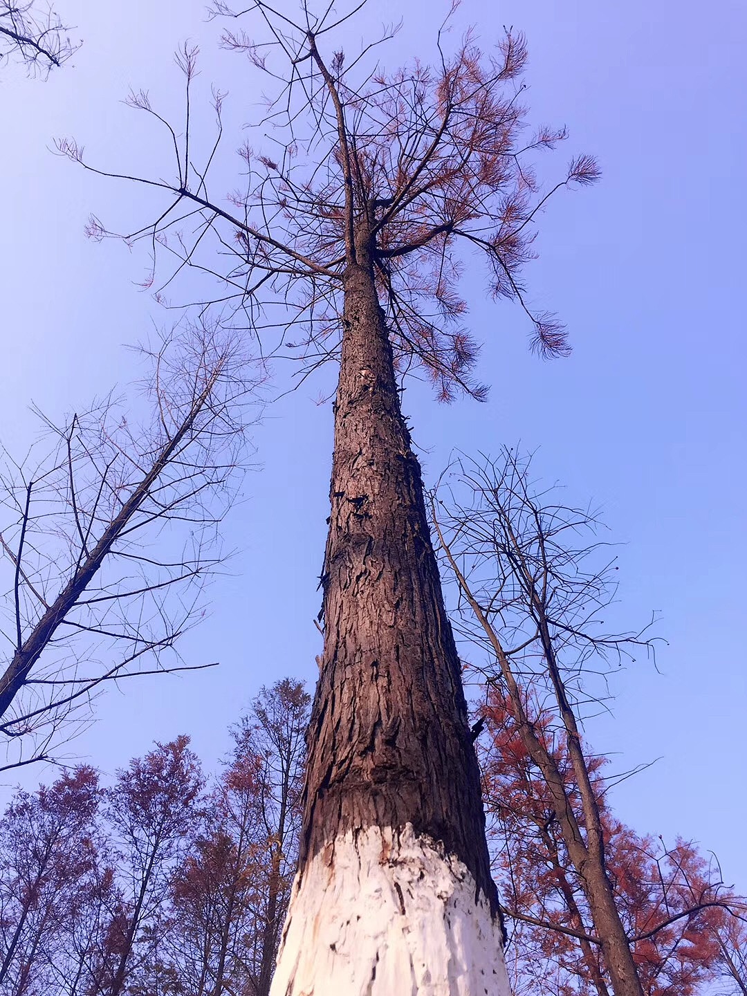手机摄影-浙江地区为主