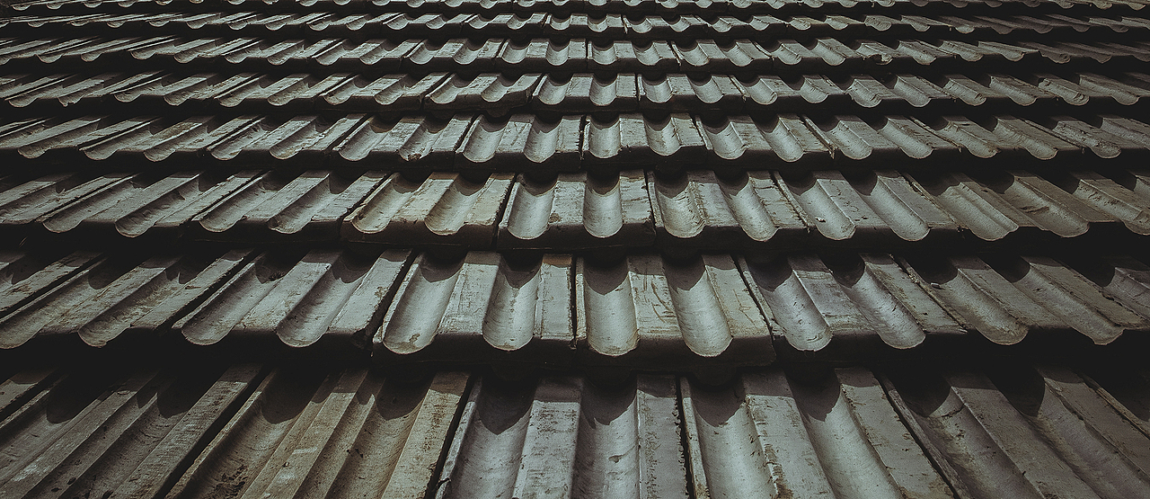 几个青年踏青 2的不要不要的