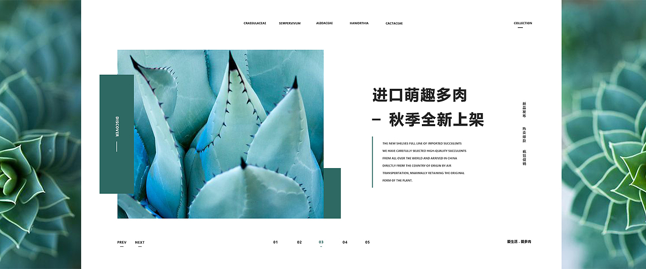 一组多肉主题的banner练习（图ZMTc4MzQ5MzE2） - 运营设计 - 站酷设计师湛麓原创素材 - 站酷ZCOOL