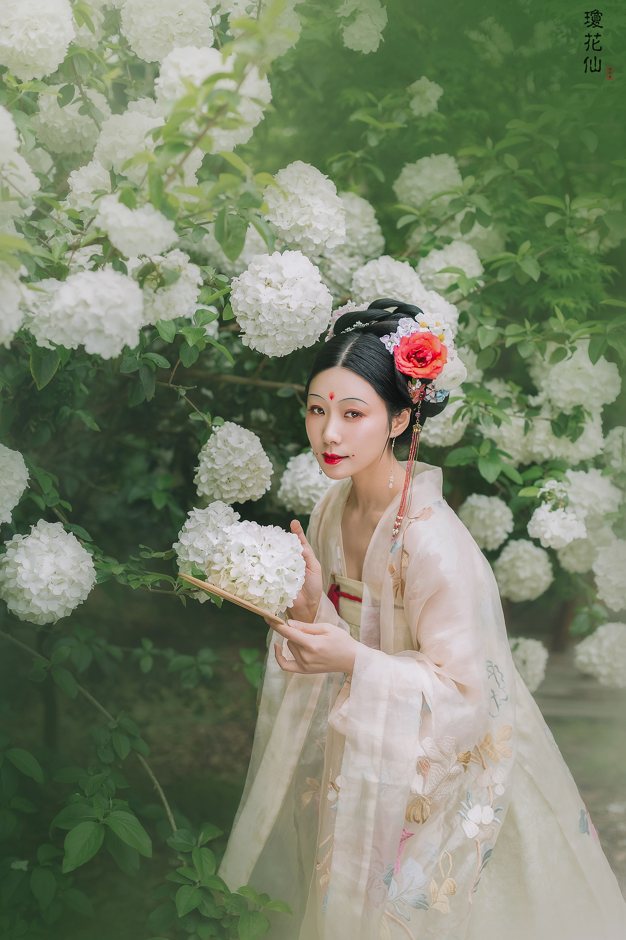 琼花仙（图ZMjA5NDAzMDU2） - 人像摄影 - 站酷设计师Z68633134原创素材 - 站酷ZCOOL