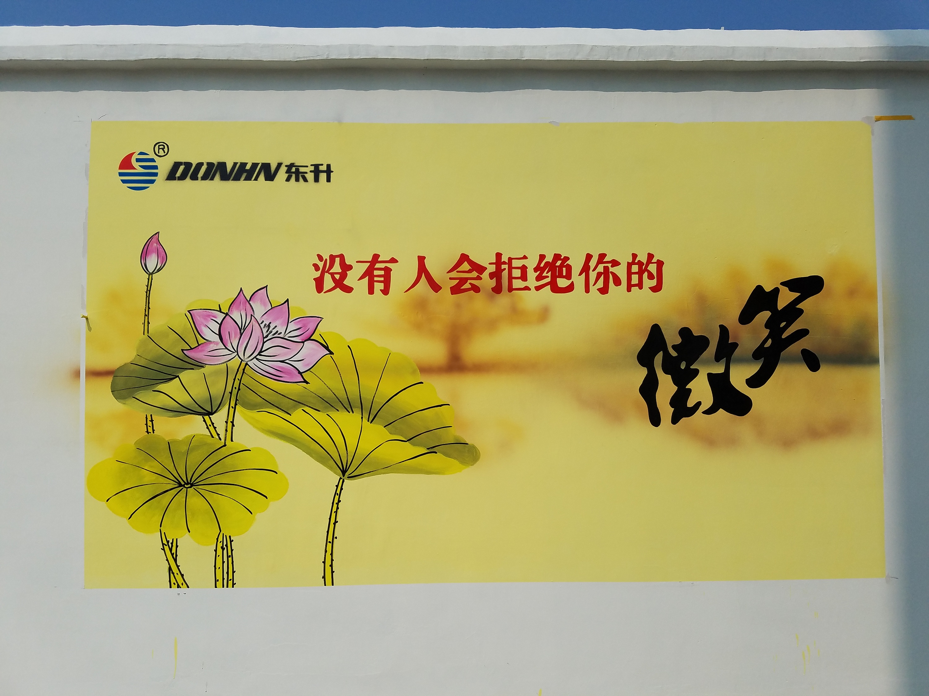 滁州文化墙彩绘 天长彩绘 滁州校园文化墙彩绘 六安非鱼墙绘