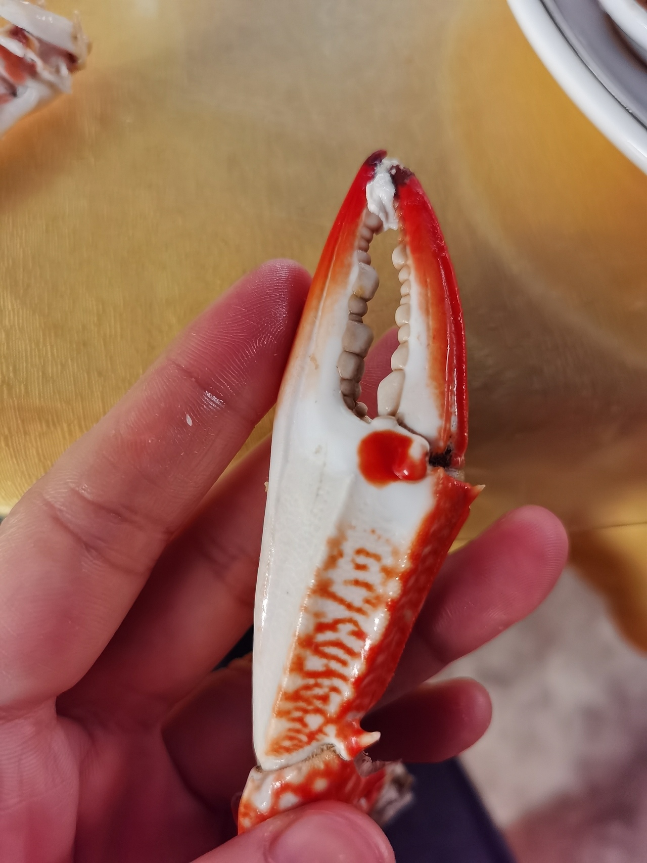 深圳渔村一日游